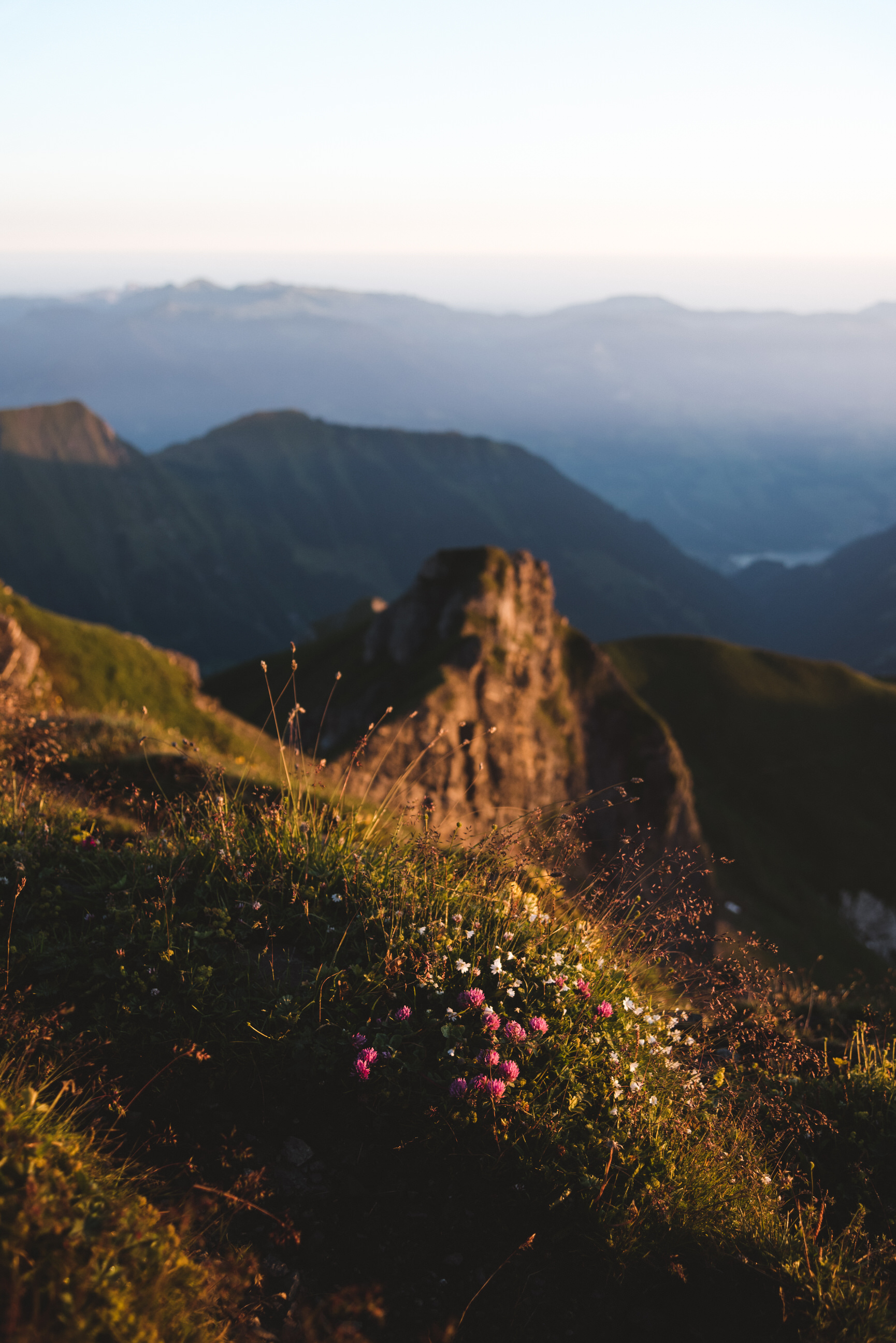 photo of summer sunrise